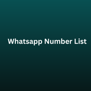 whatsapp number list