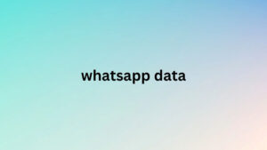 whatsapp data