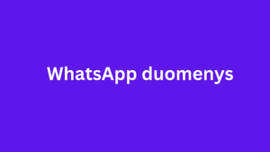 whatsapp duomenys